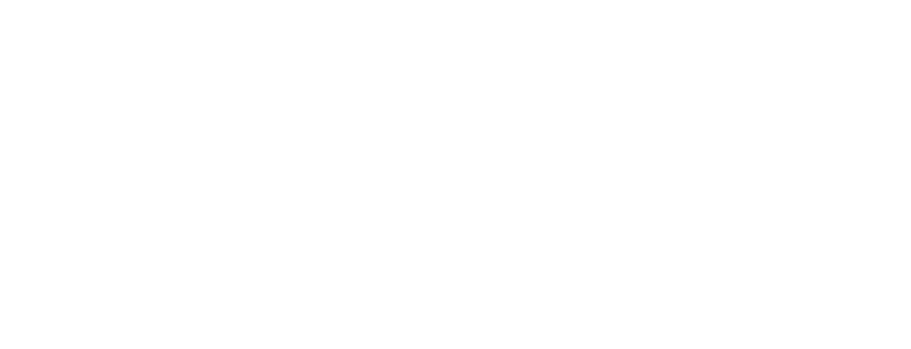 Logo White
